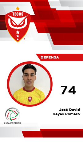 Defensa